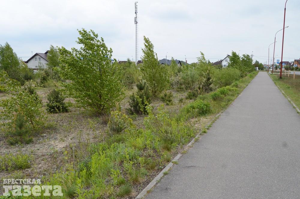 Как сейчас выглядит место в Бресте, где собираются строить «Скандинавское предместье». Фото: