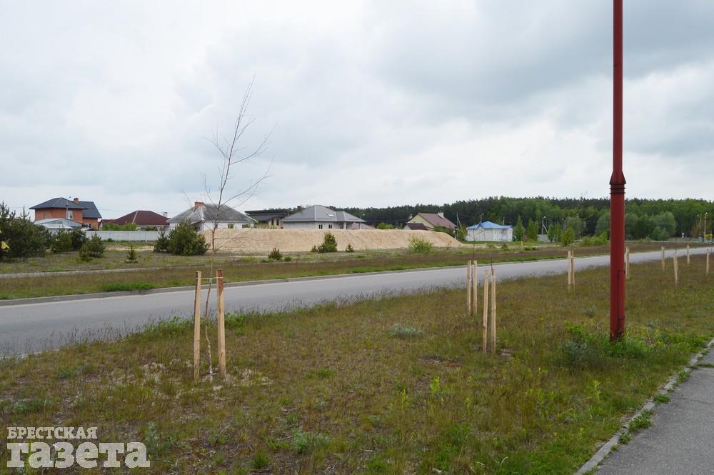Как сейчас выглядит место в Бресте, где собираются строить «Скандинавское предместье». Фото:
