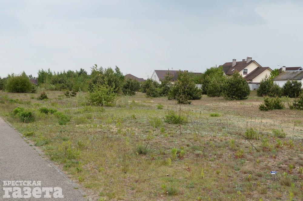 Как сейчас выглядит место в Бресте, где собираются строить «Скандинавское предместье». Фото: