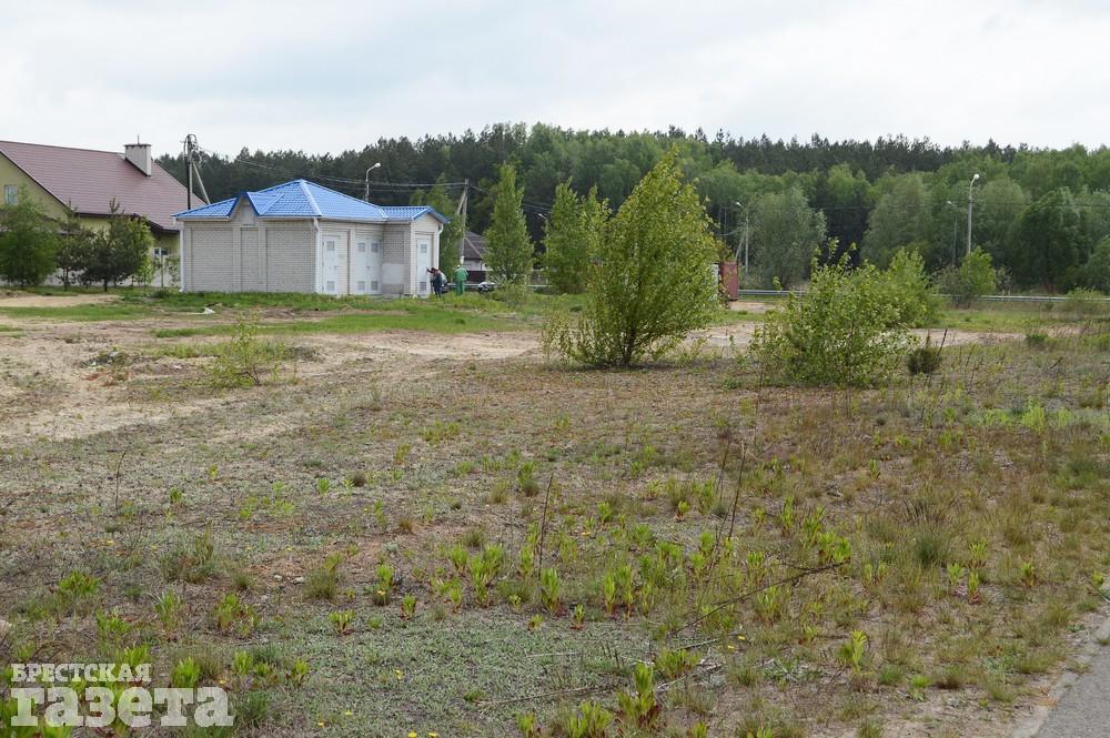 Как сейчас выглядит место в Бресте, где собираются строить «Скандинавское предместье». Фото: