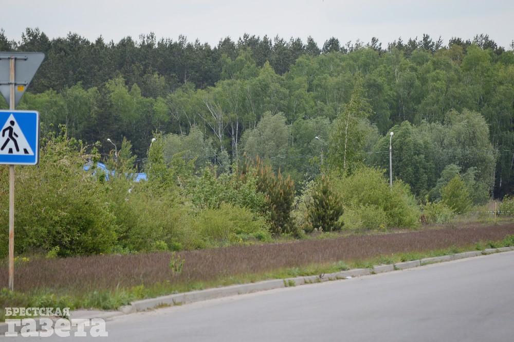 Как сейчас выглядит место в Бресте, где собираются строить «Скандинавское предместье». Фото: