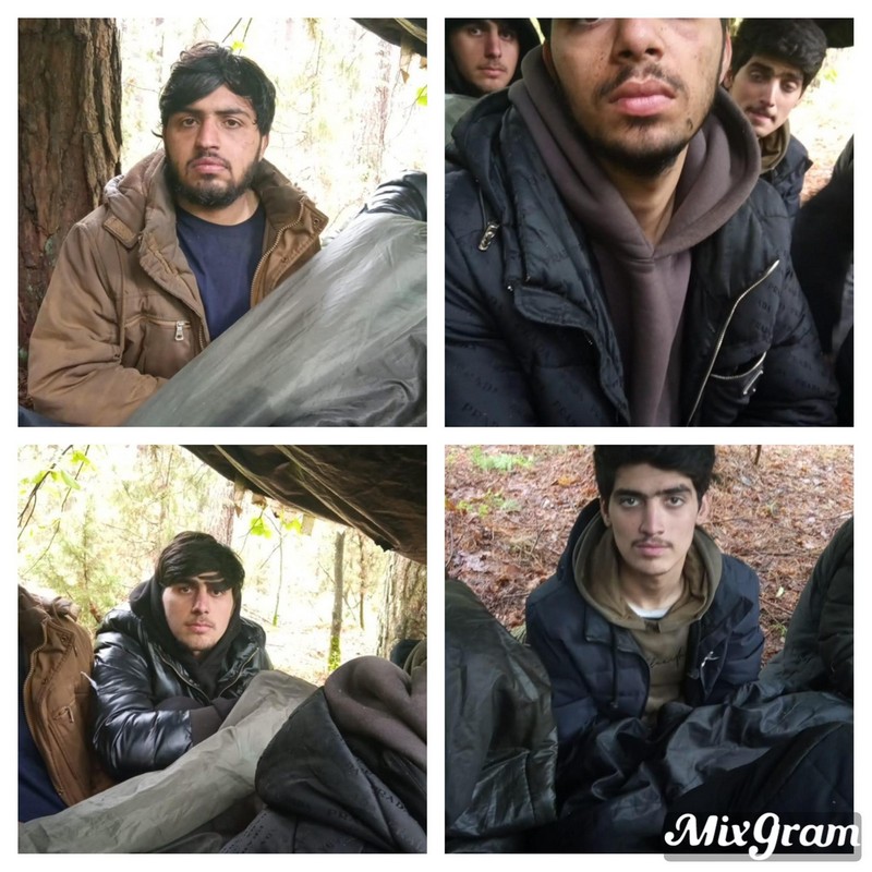 Мигранты, которые застряли на границе Беларуси с Польшей. Коллаж Wesal TV