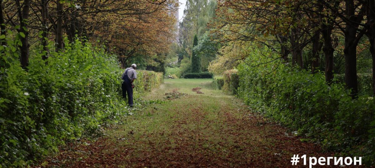Дендрарий, БрГУ им. Пушкина, сад