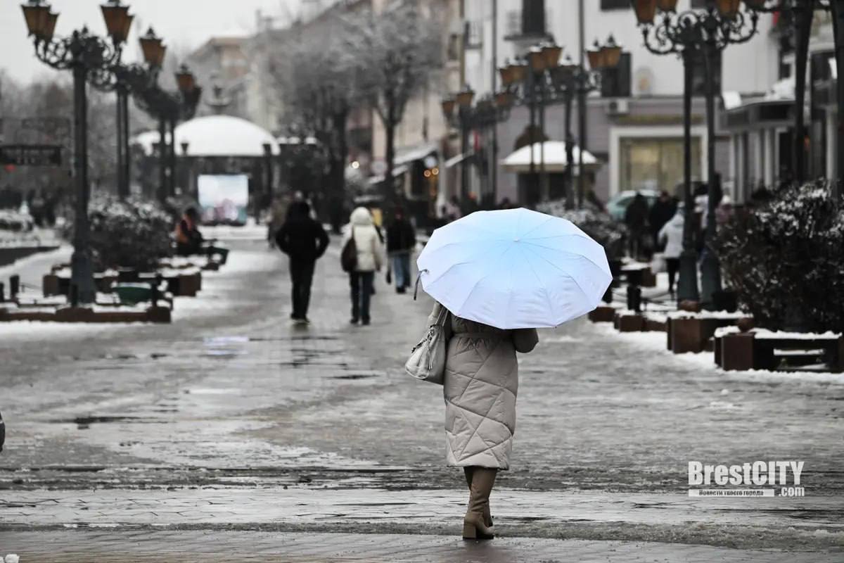 Советская в Бресте. 