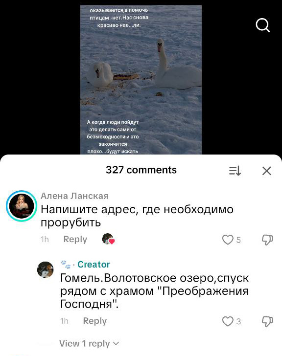 комментарии в TikTok