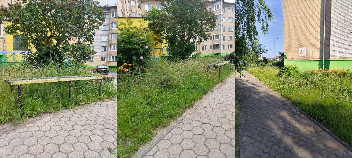 нескошенная трава возле детской площадки