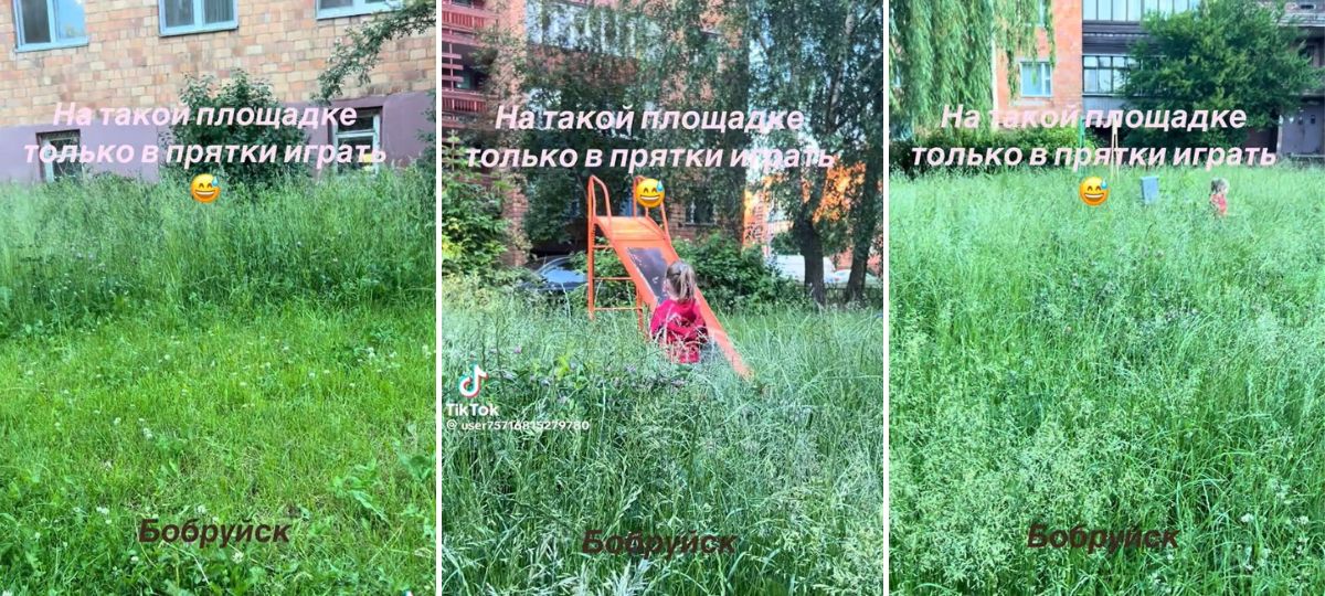 Заросшая травой детская площадка в Бобруйске. Коллаж BGmedia