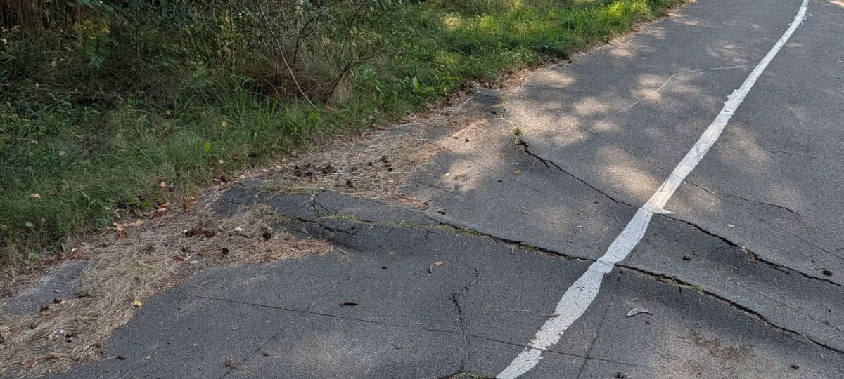 Дорога вдоль леса на Козлова в Солигорске