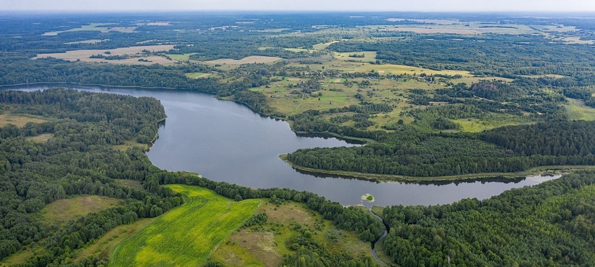 Озеро Муроги в Ушачском районе. Фото: planetabelarus.by