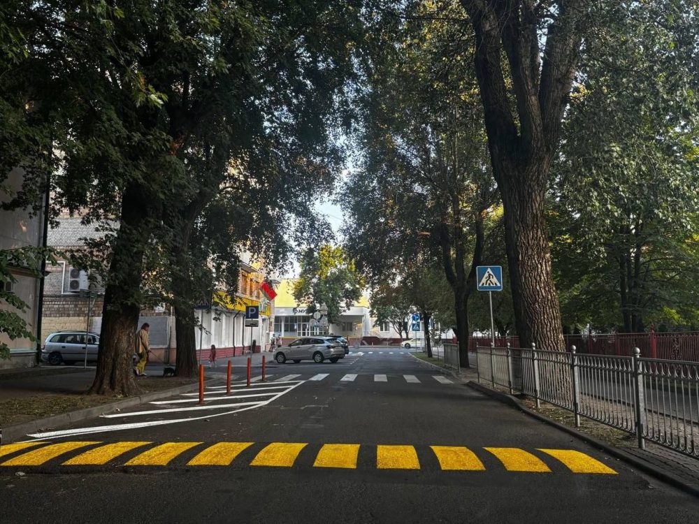 Новая разметка и дорожные знаки у школ в Бресте. Фото: УВД Брестского облисполкома